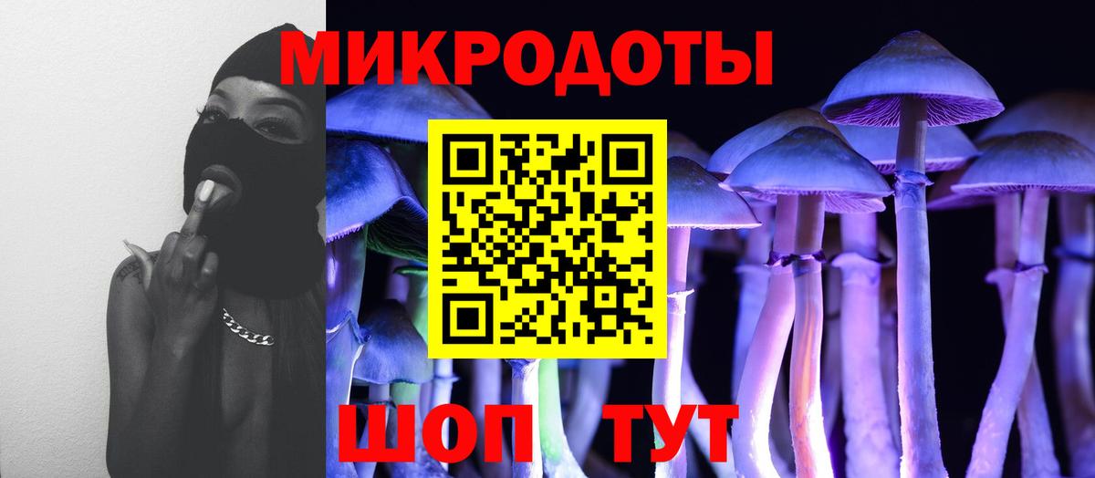 Клинцы  Галлюциногенные грибы GOLDEN TEACHER  Галлюциногенные грибы Psilocybine cubensis  Вход с VPN 